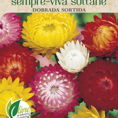 SEMPRE-VIVA SULTANE DOBRADA SORTIDA - 6041.cdr