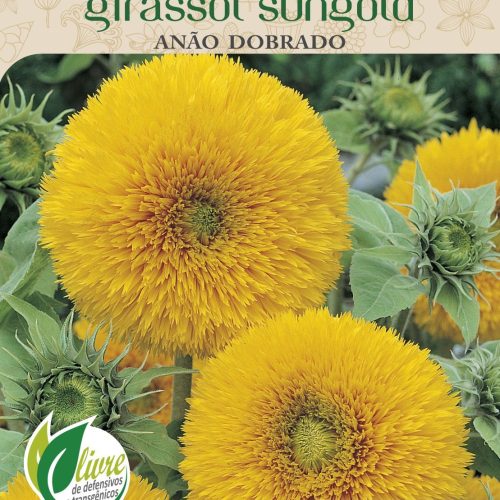 GIRASSOL ANÃO SUNGOLD DOBRADO - 6064.cdr