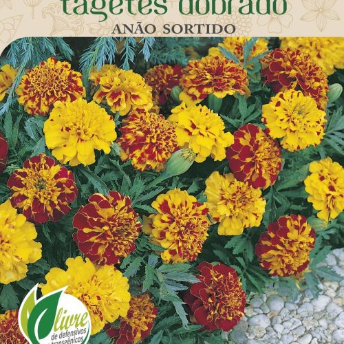 TAGETES ANÃO DOBRADO SORTIDO - 6058.cdr