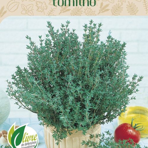 TOMILHO - 8001.cdr
