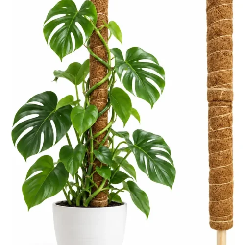 tutor-de-coco-estaca-para-plantas-trepadeira-fibra-coco