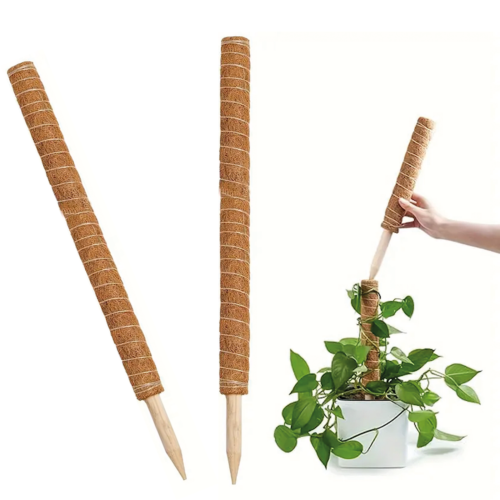 tutor_de_planta_de_coco_
