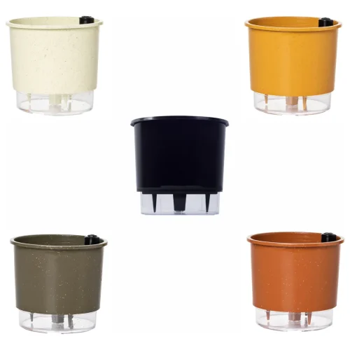 vaso