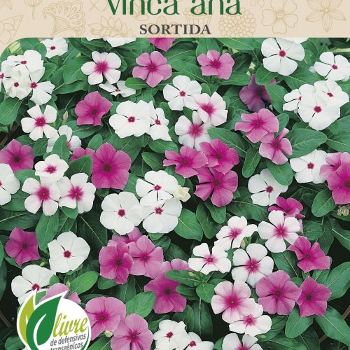 VINCA ANÃ SORTIDA - 6074.cdr