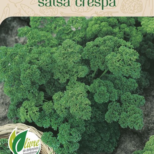 SALSA CRESPA - 4072.cdr