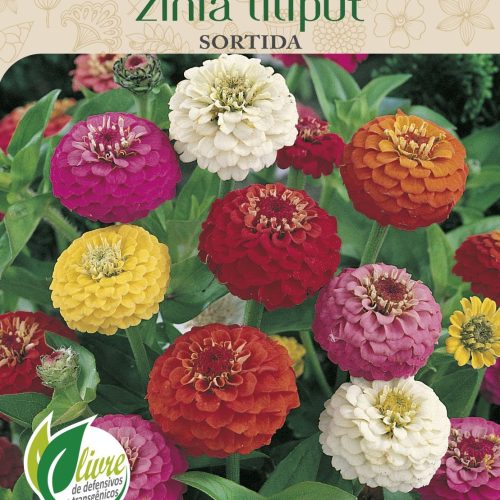 ZÍNIA LILIPUT SORTIDA - 6047.cdr